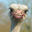 Thumb_avatar