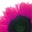 Thumb_avatar